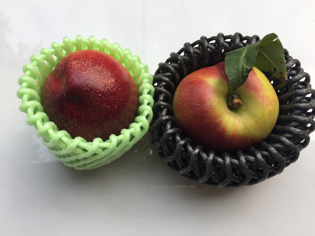 Fruit Foam Net