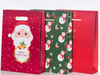 Customized, Minimalist Gift Bag for Cordless Devices